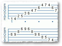 DIMINISHED SHRED